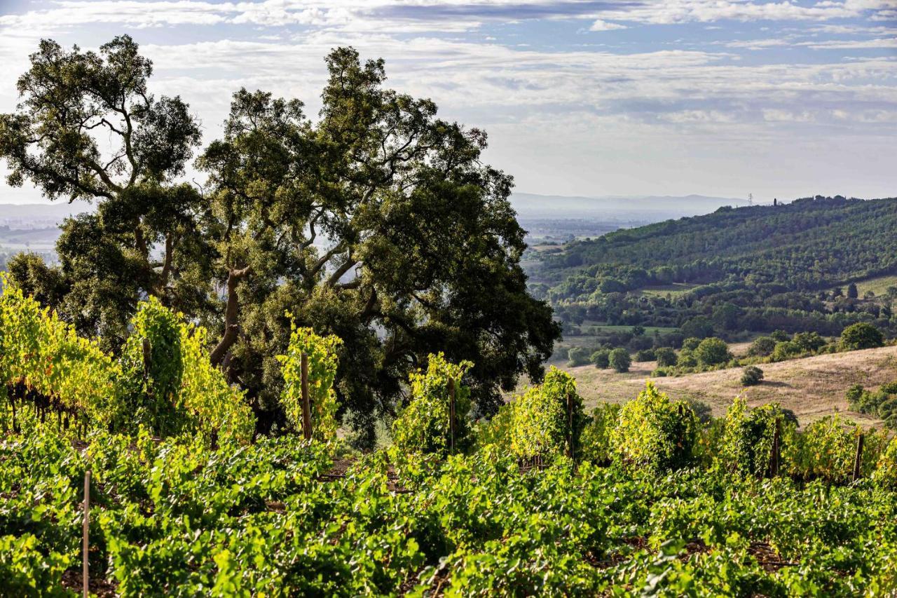 La Foresteria Di Rocca Di Frassinello Gavorrano Luaran gambar